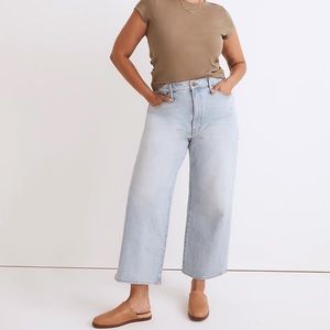 Madewell the petite perfect vintage wide-leg crop jean in edmunds wash
